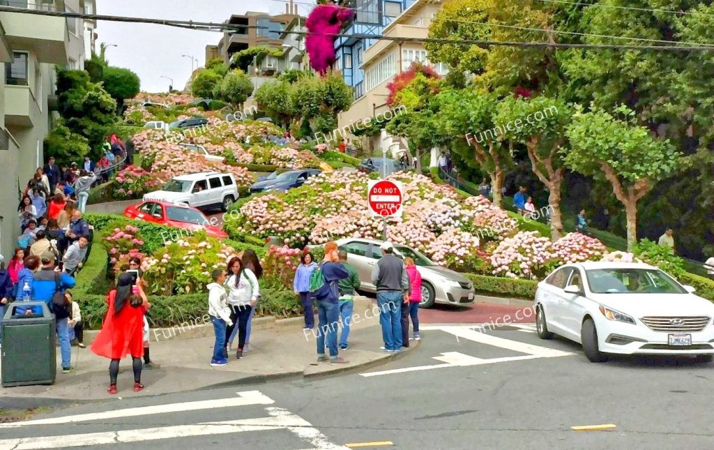 Lombard Street 3 1024x645