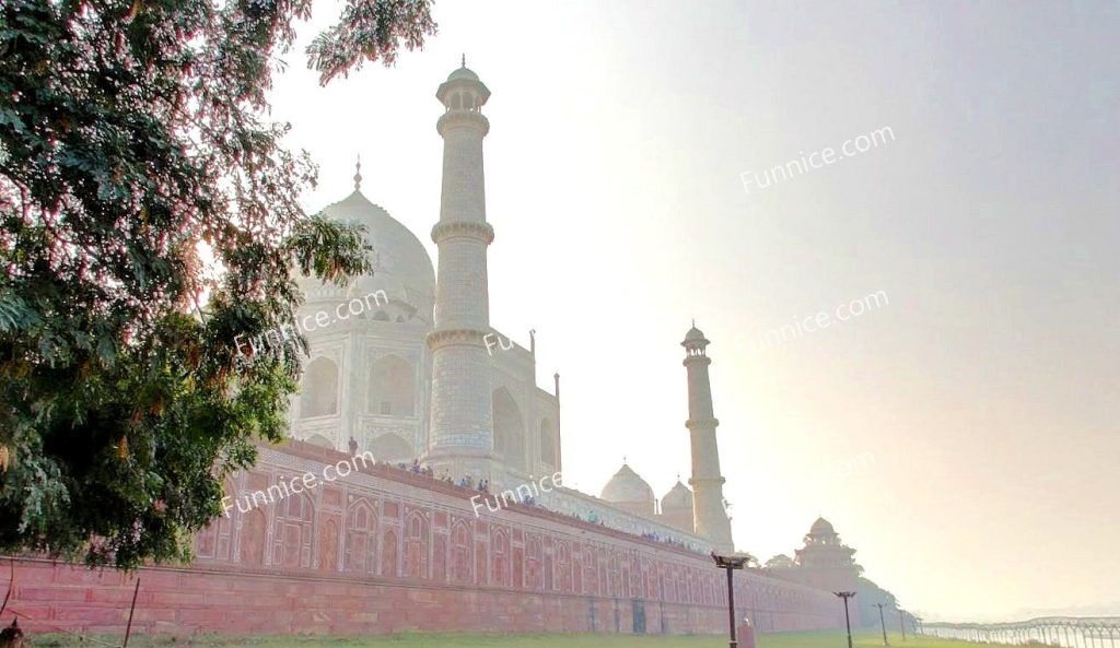 Taj Mahal 10 1024x593