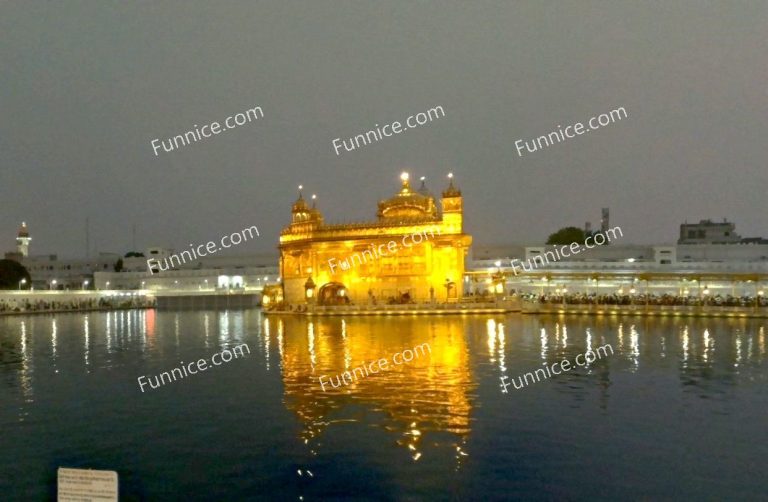 Golden Temple 17 768x502