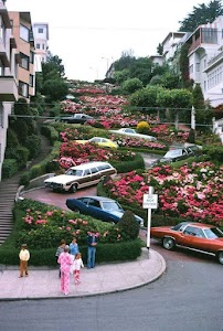 Lombard Street place picture