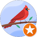 Surbhi Jain profile picture