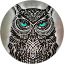 Sahil Khan profile picture