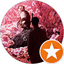 Khaydarov_U profile picture